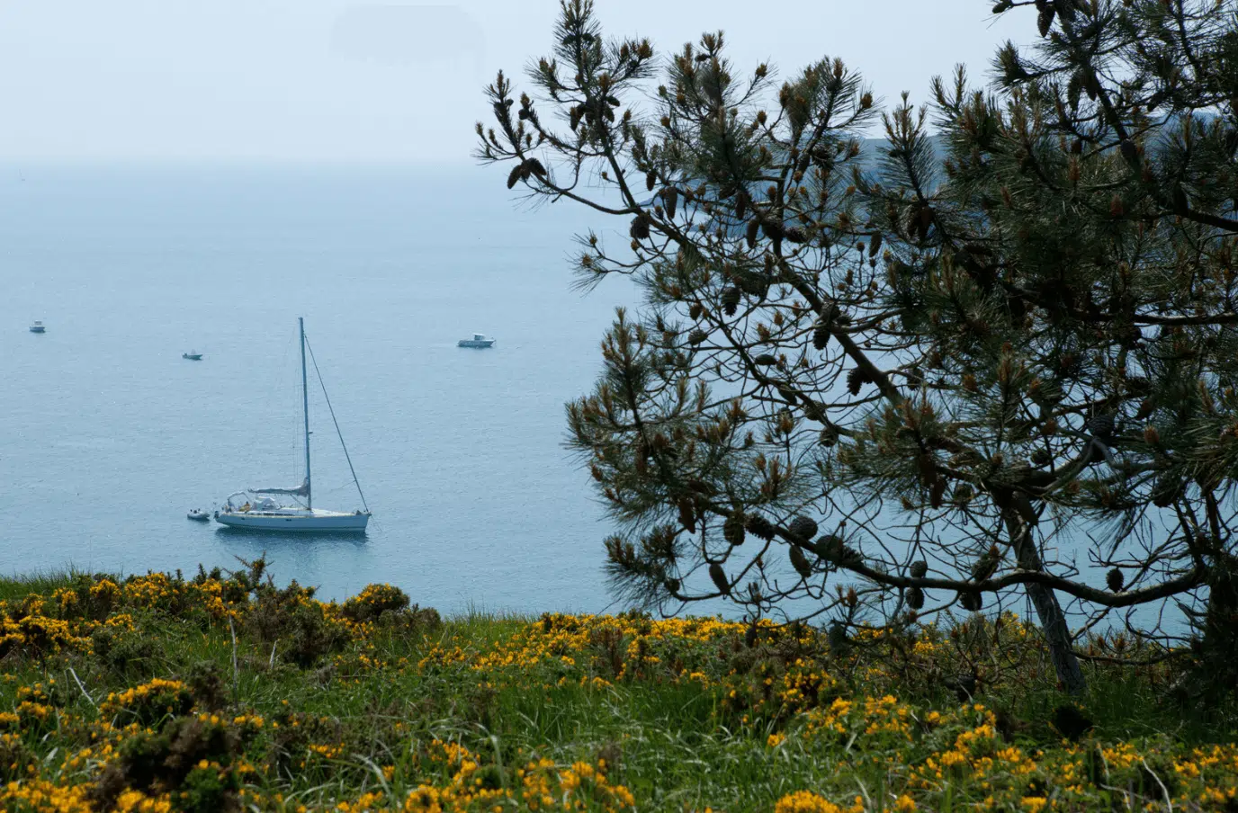Belle-Île-en-Mer