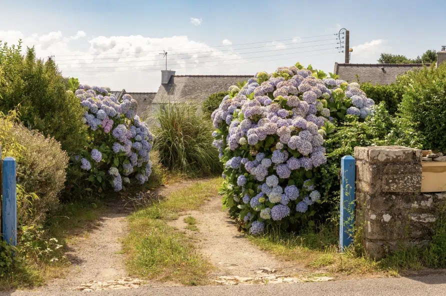 jardin bretagne