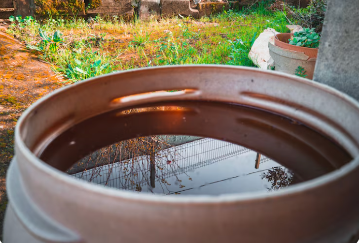 Filtrer eau de pluie